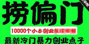 1000个冷门捞偏门小本创业小项目【无水印绝密版】总有一款适合你-零一仓库网