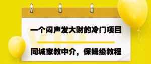 闷声发大财的同城家教中介项目【实操教程】一个月变现7000+-零一资源网