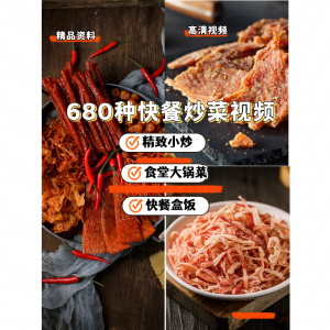 680多种快餐炒菜技术资料教程-商用家用小炒快餐盒饭大锅菜技术配方炒菜教学视频【电商热销534】-零一资源网