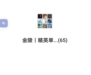 南京精英单身群-零一资源网