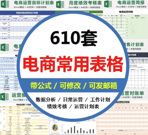 610套电商常用表格大全-电商运营管理数据分析年度报表Excel表格【电商热销993】-零一资源网