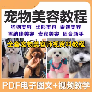 宠物美容自学教程-全套狗狗修剪修毛造型洗澡护理宠物师培训教学视频课程【电商热销997】-零一资源网