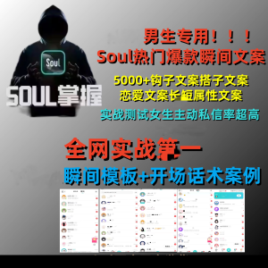 Soul爆款热门吸引女性瞬间文案聊天话术/女生主动私信你全网实战第一【电商文案988】-零一资源网