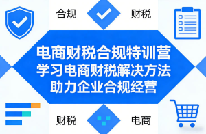 电商财税合规特训营，学习电商财税解决方法，助力企业合规经营-零一资源网