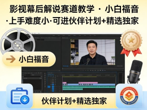 某大佬的影视幕后解说赛道教学，小白福音，上手难度小，可进伙伴计划+精选独家-零一资源网