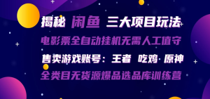 闲鱼三种玩法 全自动电影票 售卖游戏账号 爆品选品库训练营-零一资源网