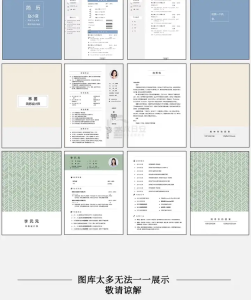 11000套简约简历模板-个人求职电子版word封面应届毕业生表格英文设计制作定制【电商热销620】-零一资源网
